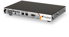 Ruckus-Wireless ZoneDirector 1100